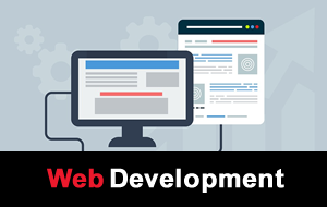 Web development